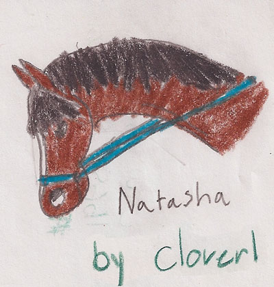 Clover1 drawing