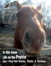 Pony Pals Magazine Volume 1