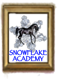 snowflake academy