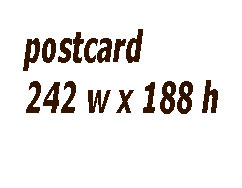 postcard size for catalog