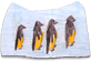 lily5 penguin blanket