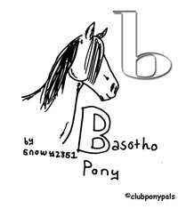 Basotho pony
