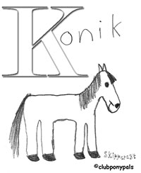 Horse Book Entry