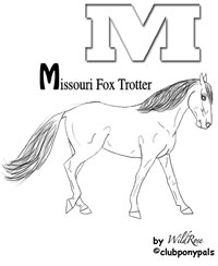 MissouriFoxTrotter