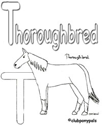 Horse Book Entry
