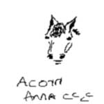 Acorn drawing