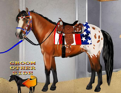 Asherels patriotic pony