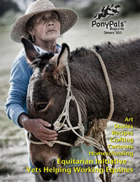 Pony Pals Magazine