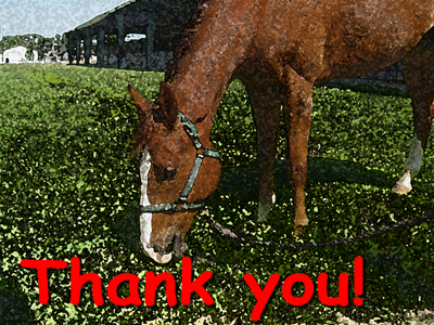 SirLunchalot Thank you card