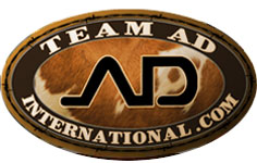 Team AD logo