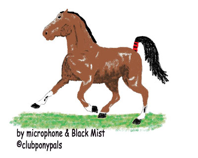 trotting horse microphone