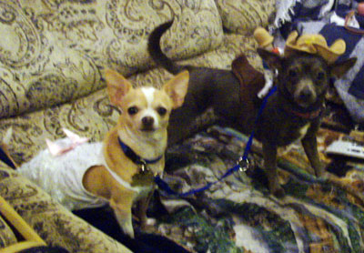 angel and artemis in costume