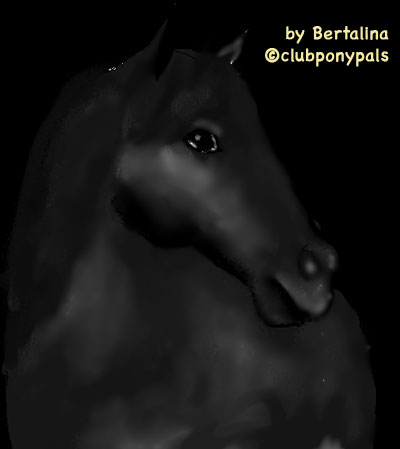 bertalina black pony
