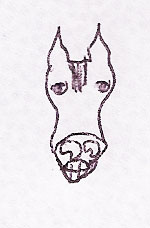 horse face by britnie