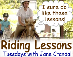 Riding lessons card