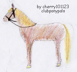 cherry10123 art