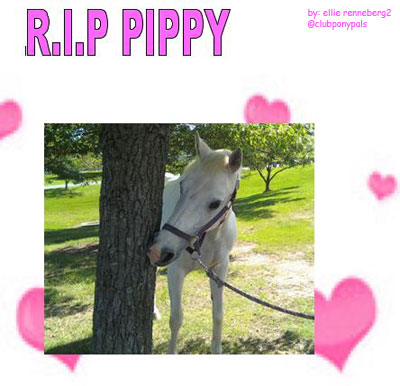 Pippy RIP