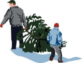 getting a tree