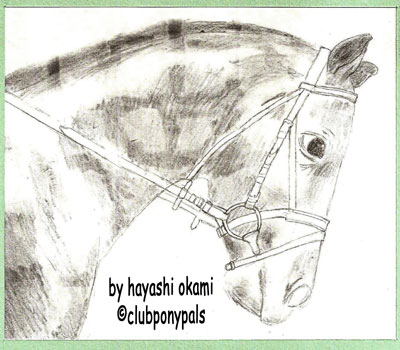 hayashi okami horse head