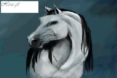 horse grl art