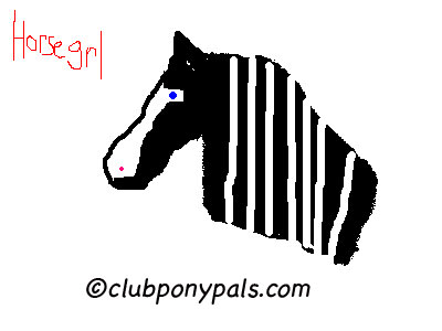 Horse Grl black and white pony