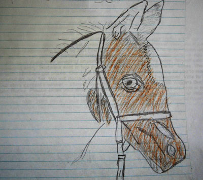 horseluvr4evr drawing