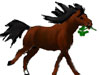 masthead pony with shamrock