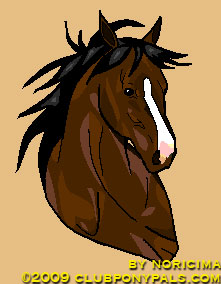noricima horse drawing