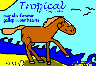 picassogirl card for emphasis
