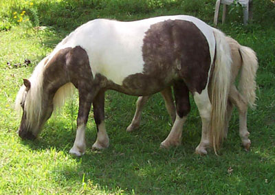 ponyluv1999 photo