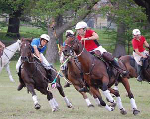 ponyluv1999 polocross