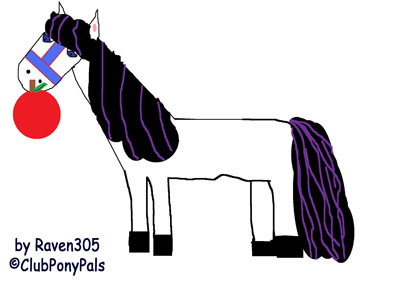 raven305 white pony
