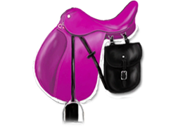 pink saddle