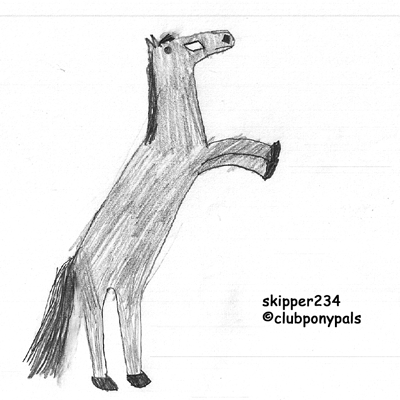 skipper234 drawing