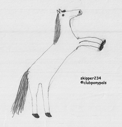 skipper234 drawing        