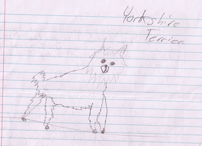 terrier drawing