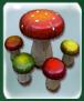 toad stool table